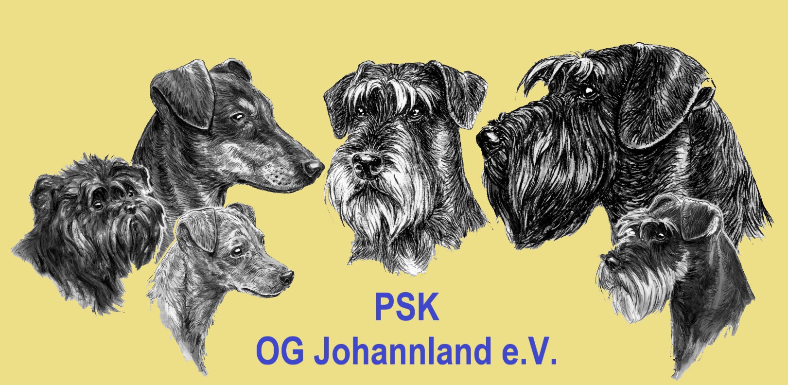 20251129 PSK OG Johannland