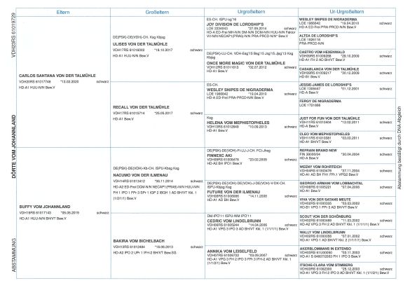 20231120 Ahnentafel Dörte vom Johannland 276099200537924 klein