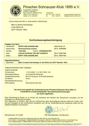 20251216 ZZL Dörte vom Johannland klein