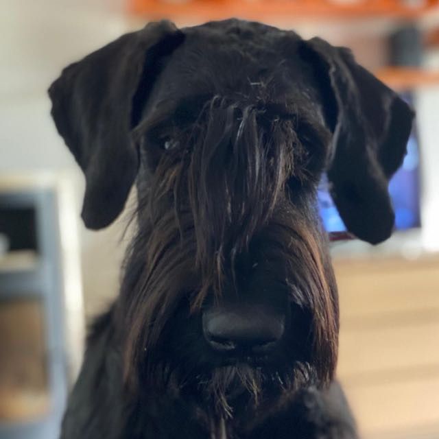 bfb4f7fc f656 403b 88b7 8af3b7e3e020